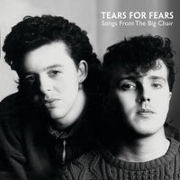 Tears for Fears - Everybody Wants to Rule the World (NIIKO X SWAE & GUDFELLA Remix) [Tiësto Edit] [Mixed] album artwork