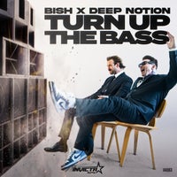 Bish & Deep Notion - Turn up the Bass album artwork