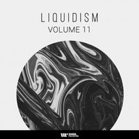 VA - Liquidism, Vol. 11 [DNBB Digital]