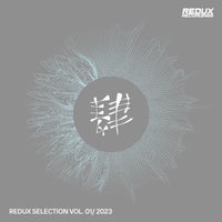 VA - Redux Selection Vol. 1 2023 [Redux Digital]