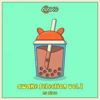 VA - AWK Selection Vol. 2 [AWK Recordings]