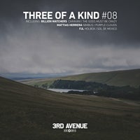 VA - Three of a Kind 08 [3rd Avenue]