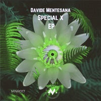 Davide Mentesana - Special X MNR017