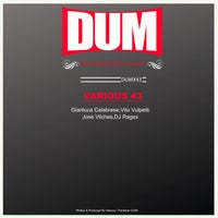 VA - Various43 [DUM]