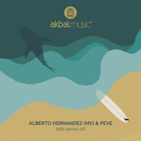 VA - B2B Series 06 [AKBAL210][FLAC]