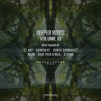 VA - Deeper Roots, Vol. 10 [DPMVA010]