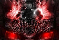 Midnight Tyrannosaurus