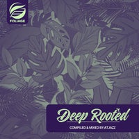 Dominique Fils-Aimé - Sun Rise (Atjazz Remix) album artwork