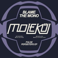 Blame The Mono - Digital Diva album artwork
