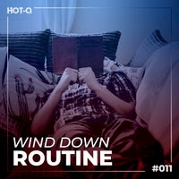 VA - Wind Down Routine 011 [LW Recordings]