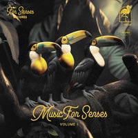 VA - Music for Senses I FSR020