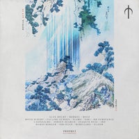 VA - Ritual Act Iv PRPH022 Prophet