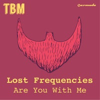 Lost Frequencies - Are You with Me (Tomorrowland 2019 Outro Mix) album artwork