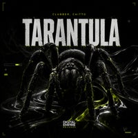 Clubber, Caitto - Tarantula album artwork