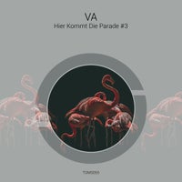 VA - Hier Kommt Die Parade 3 [TGMS055]