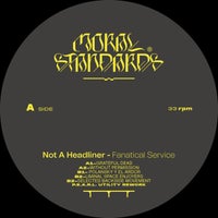 Not A Headliner - Polansky Y El Ardor album artwork