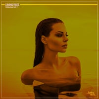 VA - Chromologic X, Vol. II [Chrom Recordings]