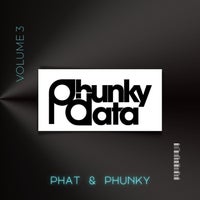 VA - Phat & Phunky Vol. 3 PH085