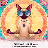 No Hopes - Sounds Like a Melody (Extended Mix) album artwork