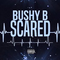 Bushy B - Scared (Sped Up) album artwork