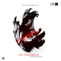 Camo & Krooked & Mefjus - No Tomorrow (feat. Sophie Lindinger) album artwork