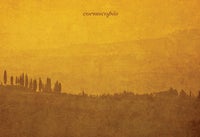 Cornucopia