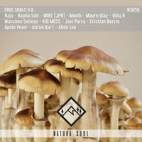 VA - Free Souls V.A. [Natura Soul]