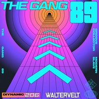 Waltervelt & Kiko - The Gang 89 album artwork