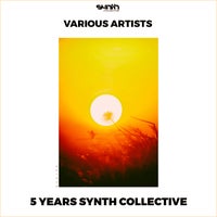 VA - 5 Years Synth Collective [SYC135][FLAC]