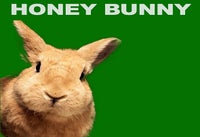 Honey Bunny