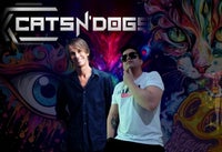 Cats N' Dogs