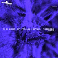 VA - The Best of Frame Workxx Records 2022 [Frame Workxx Records]