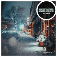 VA - Undiscovered Underground Vol. 14 [FM055LP]