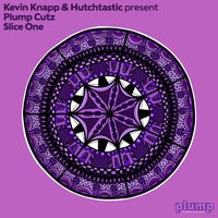 VA - Kevin Knapp and Hutchtastic Present Plump Cutz Slice One [Plump Records]
