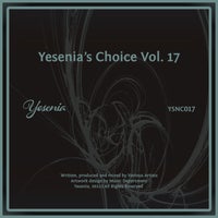 VA - Yesenia's Choice, Vol. 17 YSNC017