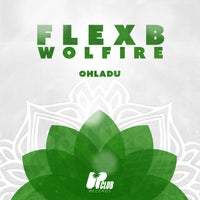 FlexB & Wolfire - Ohladu [Up Club Records]