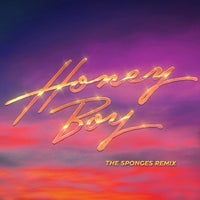 Purple Disco Machine, Benjamin Ingrosso, Nile Rodgers & Shenseea - Honey Boy (The Sponges Remix Extended) album artwork