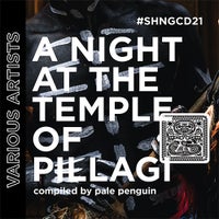 VA - A Night At the Temple of Pillagi [Shango Records]