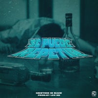 Mestizo Is Back - Se Puede Repetí album artwork