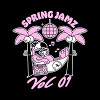 VA - Spring Jamz Vol 1 TDRCOMP004