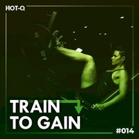 VA - Train to Gain 014 [LW Recordings]