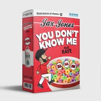 Jax Jones & RAYE - You Don't Know Me album artwork