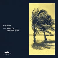 VA - Best Of Summer 2022 [PURR333]