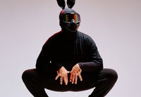 Pronolagus