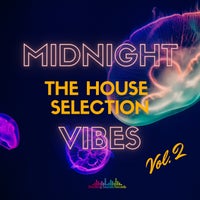VA - Midnight Vibes_ The House Selection, Vol. 2 [SSRC007]
