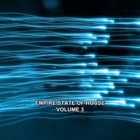 VA - Empire State of House Vol. 3 [Digital Village Music]