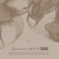 VA - Translucent (Best Of 2022) [Translucent]