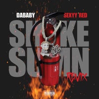 DaBaby & Sexyy Red - SHAKE SUMN (REMIX) album artwork