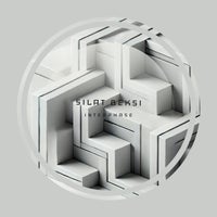 Silat Beksi - Steezy album artwork