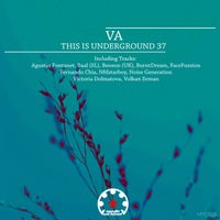 VA - This Is Underground 37 [MYC1225]
